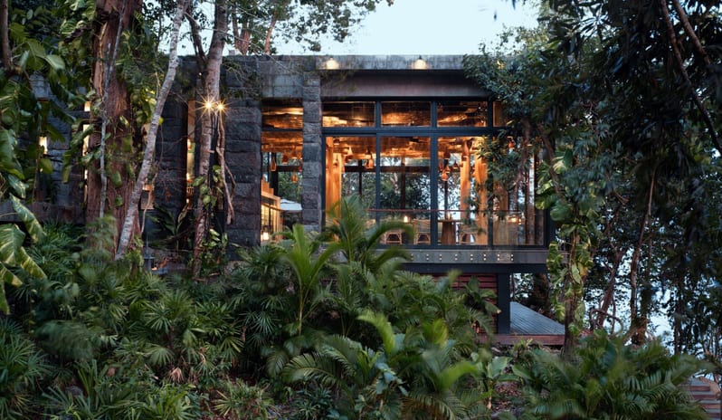 Tree Restaurant 2_6803